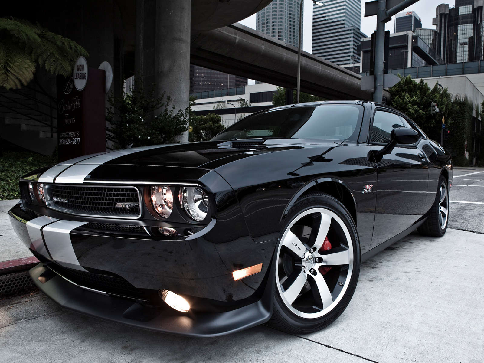 Dodge Challenger Srt8 2011